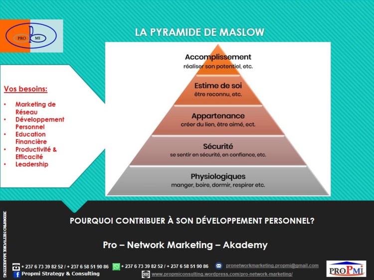 LA PYRAMIDE DE MASLOW 
