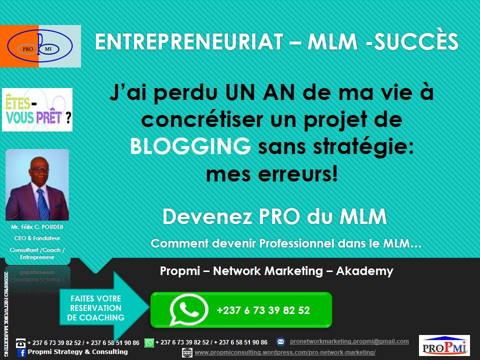 propmi-pnma_mlm_jai-perdu-un-an-de-ma-vie-a-concretiser-un-projet-de-blogging-sans-strategie.