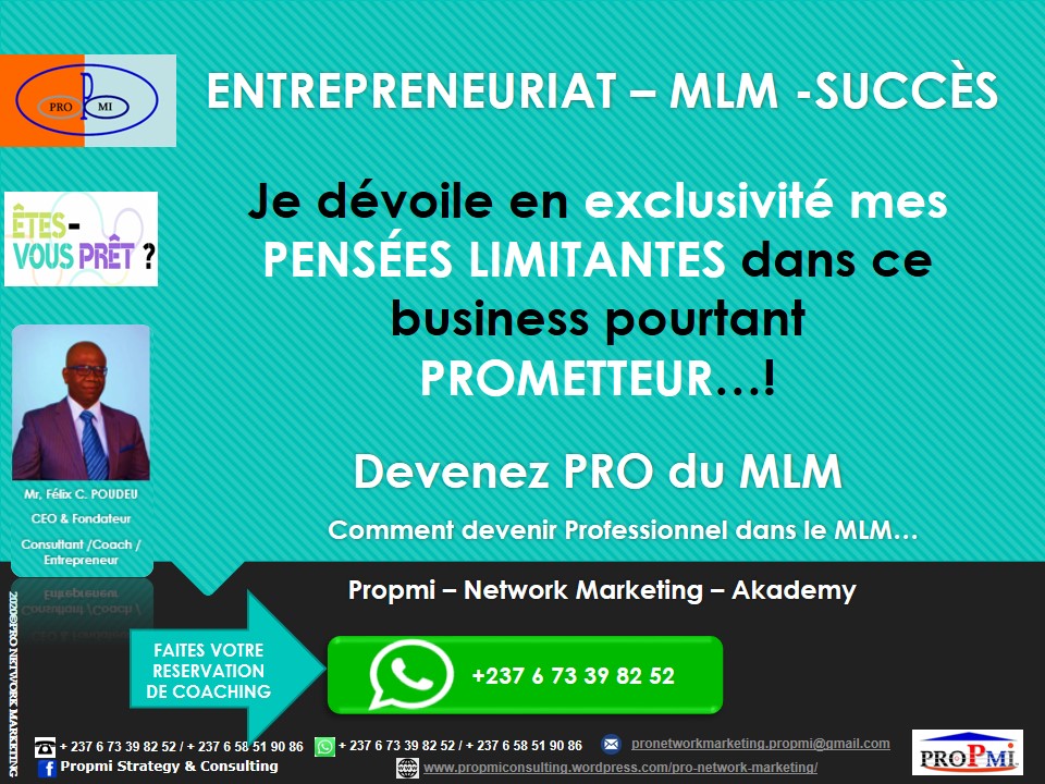 propmi-pnma_mlm_je-devoile-en-exclusivite-mes-pensees-limitantes