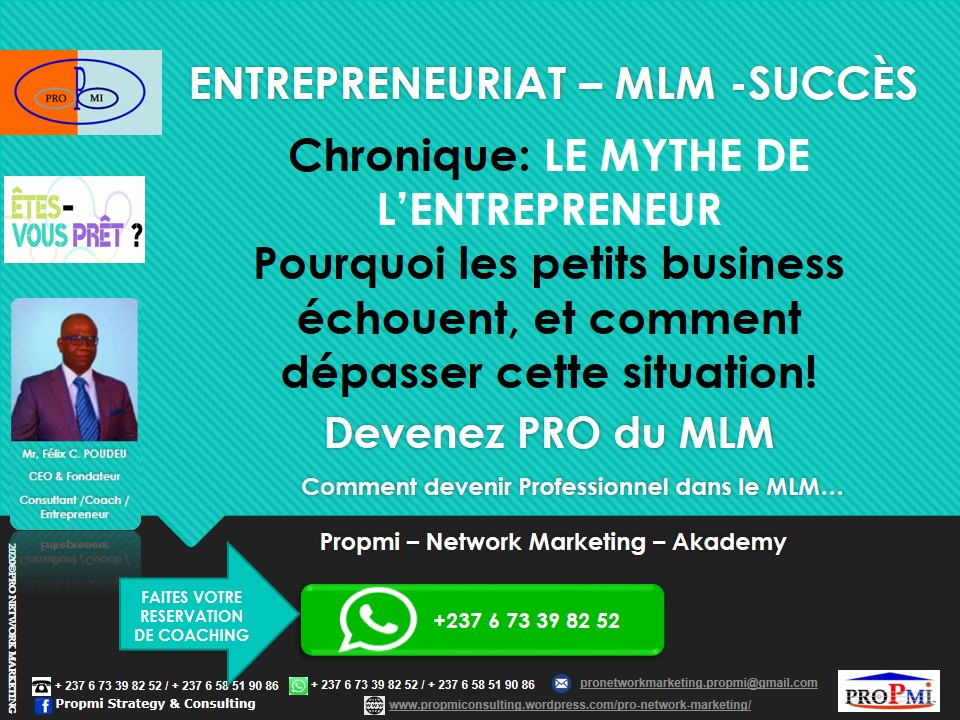 propmi-pnma_mlm_le-mythe-de-lentrepreneur