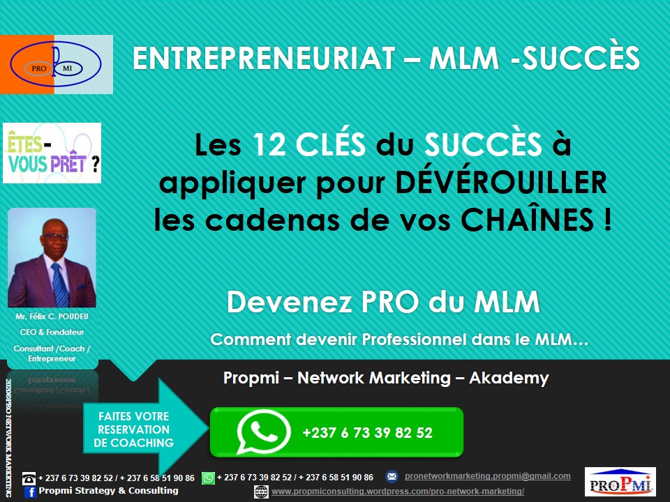 propmi-pnma_mlm_les-12-cles-du-succes-a-appliquer.